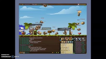 Bootcamp Glitch in Public | Transformice Special