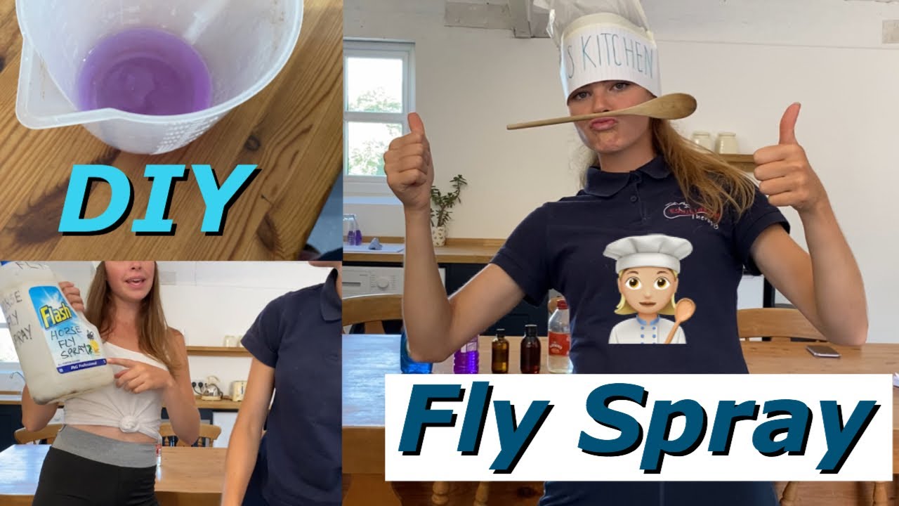 DIY HORSE FLY SPRAY | Cooks Kitchen.
