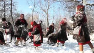 Mariana Ionescu Capitanescu Vin sarbatori