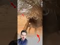 القوة والضعف وجهان لحقيقة واحدة لا يفترقان فليس كل قوي كما يبدو 