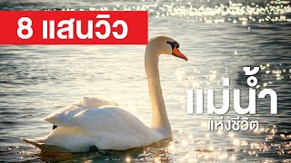 สารคดี สำรวจโลก ตอน แม่น้ำแห่งชีวิต - ภัยแล้งอันสุดโหด สัตว์ป่าจะเอาชีวิตรอดได้อย่างไร?