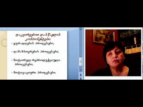 მაია წერეთელი განვითარება 5.3