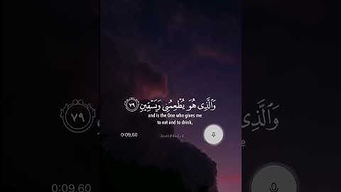 ٱلَّذِى خَلَقَنِى فَهُوَ يَهْدِينِ القارئ رعد الكردي حالات واتس اب قران حالة نفسية ❤️😍