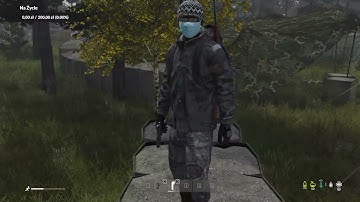 dayz explained in 10 seconds