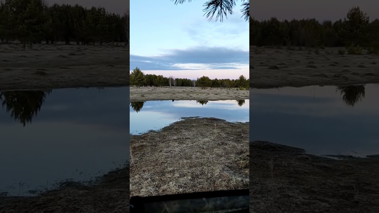 Что делать если подсадная утка не работает!