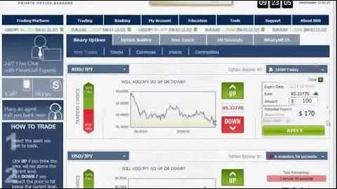 Trading Binary Options For Beginners Easily Learn How To Profitably Trade Binary Options