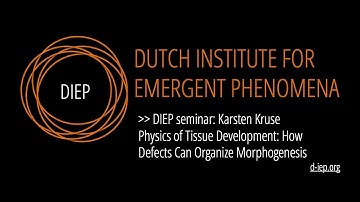Physics of Tissue Development: How Defects Can Organize Morphogenesis by Karsten Kruse