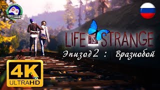 ИГРОФИЛЬМ Life is Strange Эпизод 2 Вразнобой 4K 60FPS 18+ русская озвучка сюжет фантастика ИГРОФИЛЬМ Life is Strange Эпизод 2 Вразнобой 4K 60FPS 18+ русская озвучка сюжет фантастика