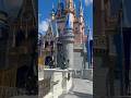 Let’s Walk Through Cinderella Castle! - Magic Kingdom #disney #shorts