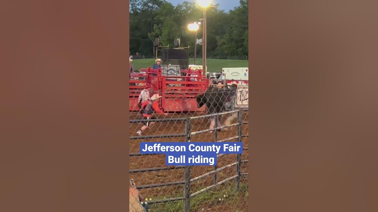 Bull riding from the Jefferson County WV Fair. bullriding bulls 