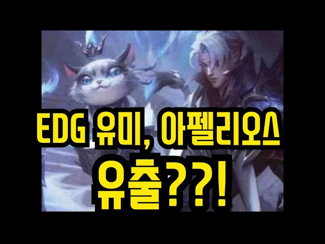 EDG 롤드컵 유미, 아펠 신스킨 스플래시 아트 유출?