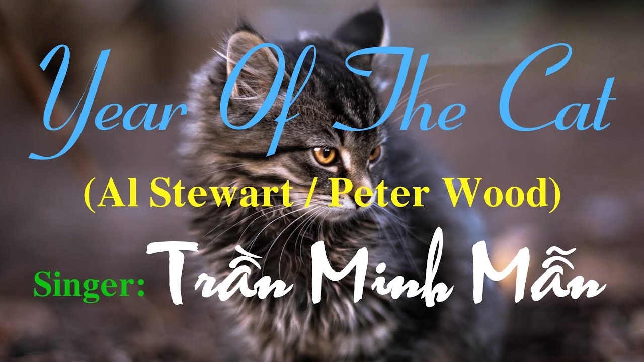 YEAR OF THE CAT Al Stewart Peter Wood Singer Ti ng H t Tr n Year of the cat al stewart peter wood singer ti ng h t tr n