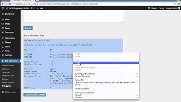 How to Obtain Debugging Information - WP RSS Aggregator