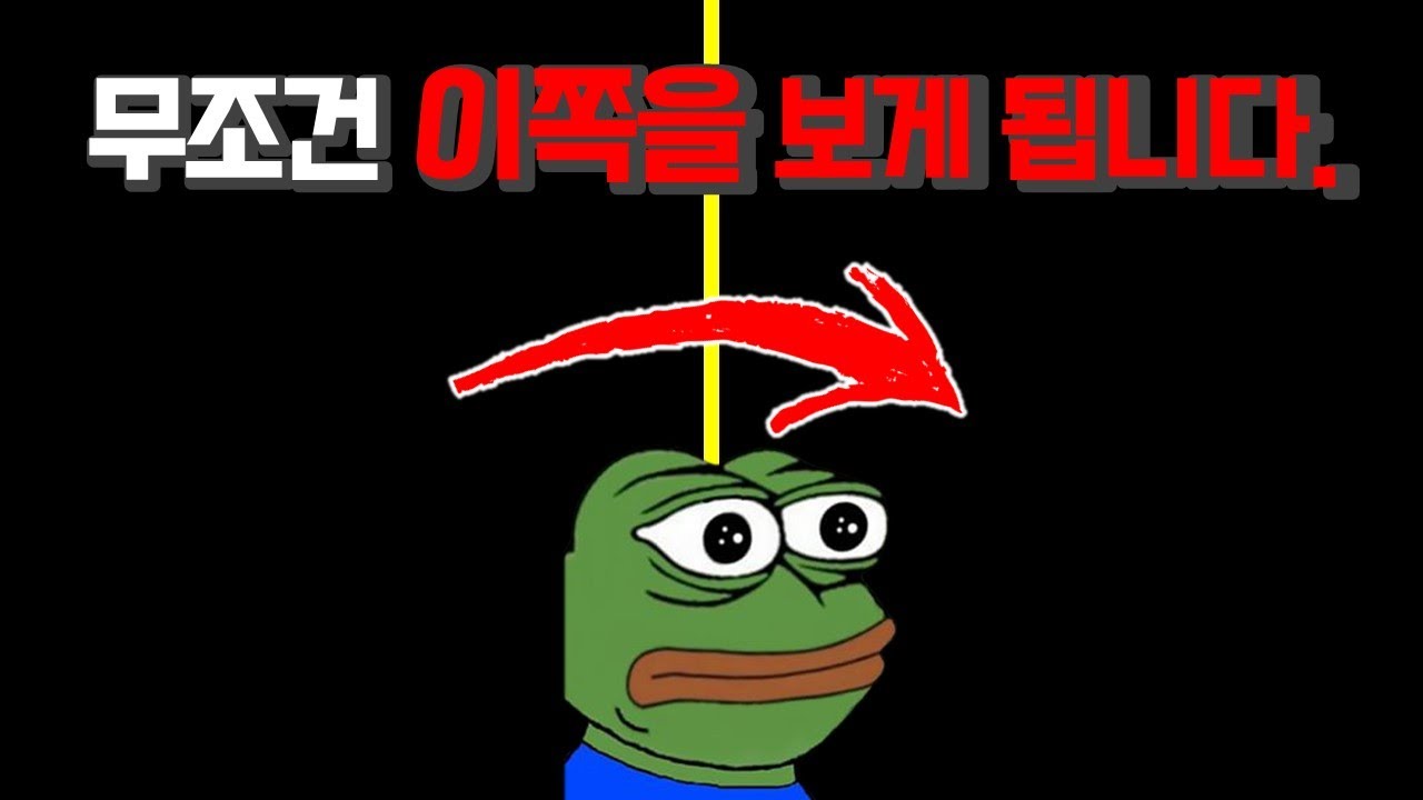 당신의 시력은 얼마나 좋은가요?  색감 시력 컬러테스트