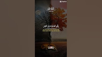 #سورة_هود #قرآن #quran #تلاوات #تلاوه #تلاوة_خاشعة #اكسبلور #لايك #تيك_توك