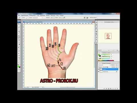 Видео урок по хиромантии линии и знаки на руке