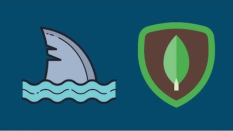 Wiresharking MongoDB - Decrypting TLS traffic, mongo protocol, cursors and more