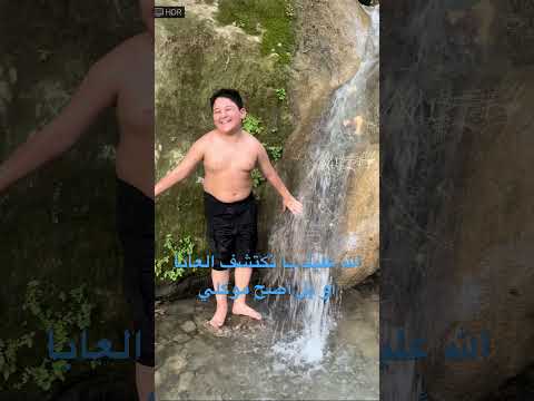 تيم قلب موكلي