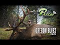 Oregon Blues Bull Elk Hunt - Jason Phelps