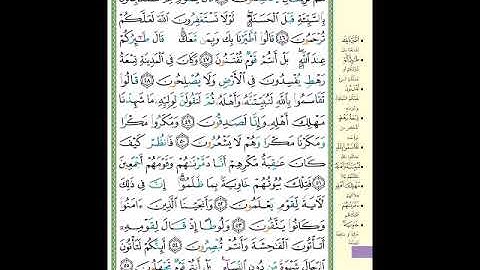 الصفحة (381) من المصحف الشريف ( سورة النمل - مشروع حفظ القرآن الكريم )