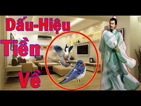 Video CHIM BAY VÀO NHÀ là điềm cát hay hung nên làm gì hóa... - youtube