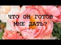 ЧТО ОН ГОТОВ МНЕ ДАТЬ? Гадание онлайн таро. Расклад таро.