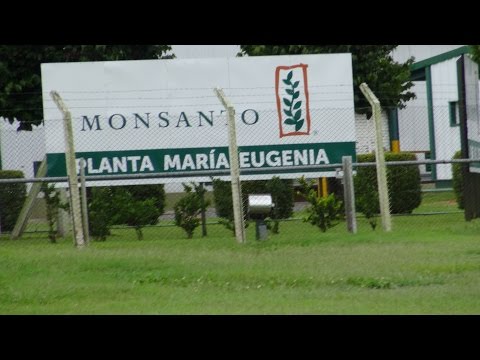 Cultura Agrícola Mortal – Como a Monsanto está envenenando o mundo