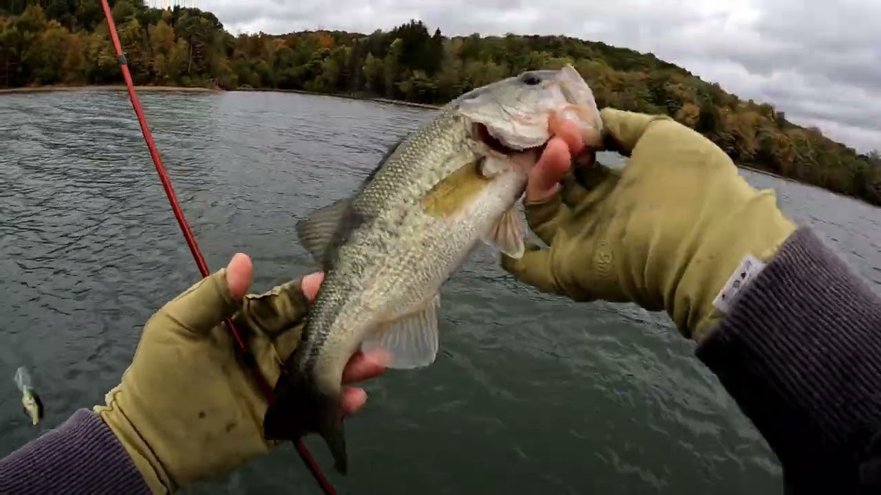 Cold day of fall crankbait bass fishing