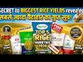 Best Rice Varieties For 2026 Hybrid Rice Farming Highest Yielding Paddy Top 3 Rice Varieties 