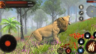 Best Animal Games - The Lion Simulator - Android Gameplay HD screenshot 5