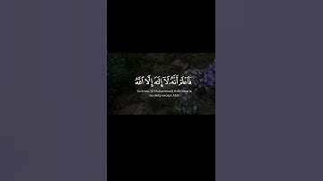 فاعلم أنه لا اله إلا الله واستغفر لذنبك | سورة محمد | ياسر الدوسري