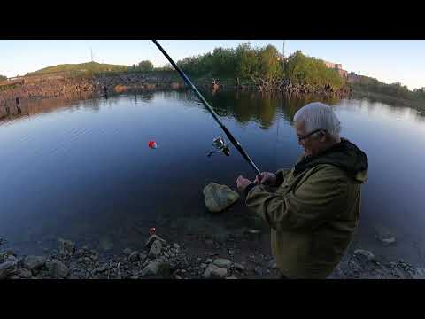 Video: Riba "bast"