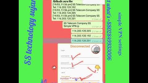 Simple VPN settings IP address