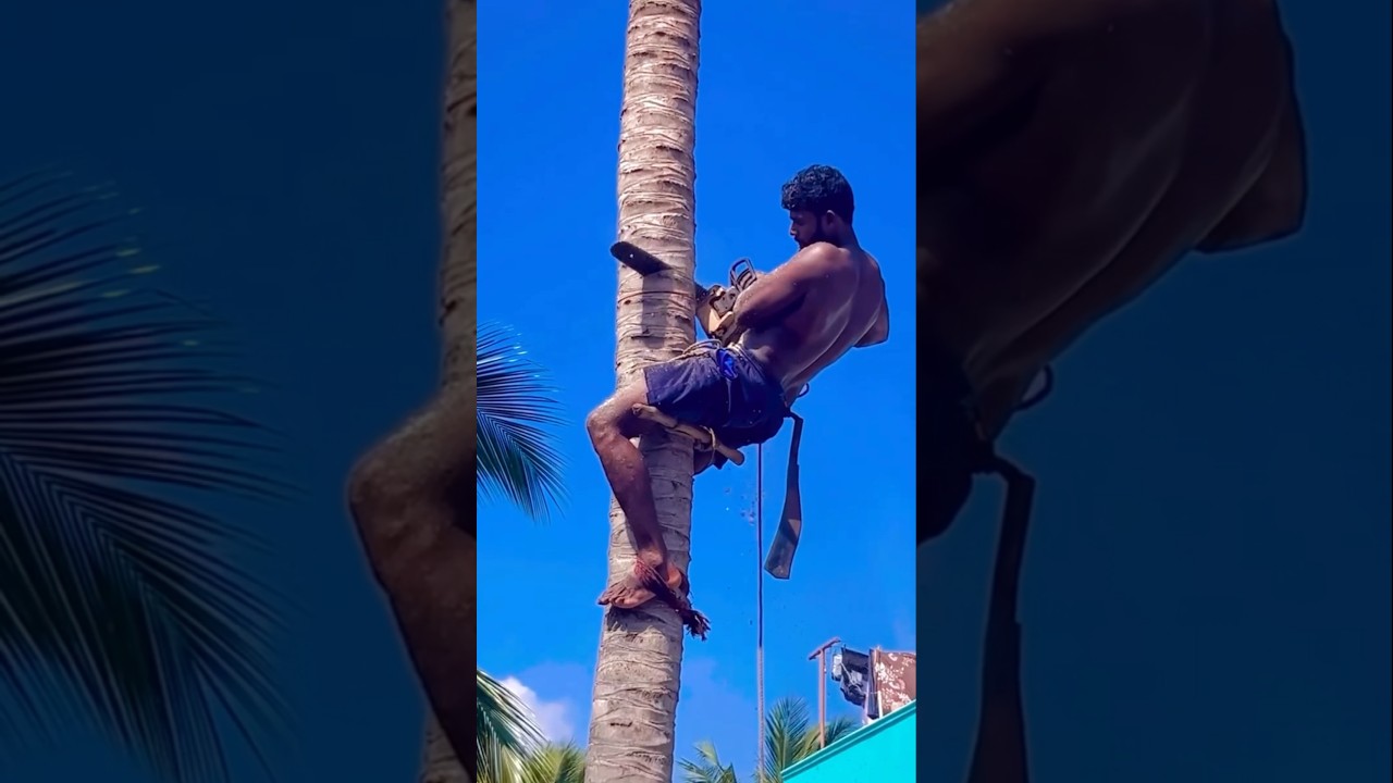 Unique Way of Tree Cutting💲😨...