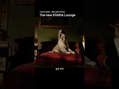 The new STARIA <strong>Lounge</strong> | 강아지 편