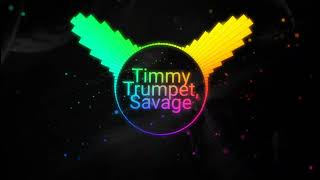 Timmy Trumpet, Savage~FREAKS (dancing mix)🔥