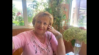 С какой стороны болит голова? Психои фитосоветы