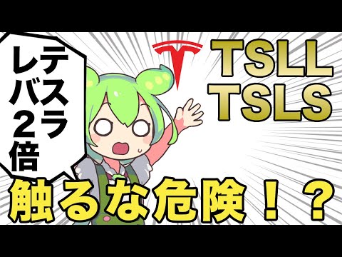 【解説】Direxion TSLAレバレッジETF（TSLL / TSLS）| FIRE目前ずんだもん