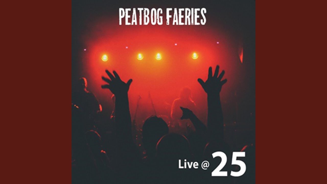 Jakes on a Plane (Live)