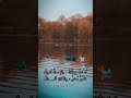 أدمنت صوتك والإدمان أذواق | لقائلها | إلقاء : عمر درابكه   #كتاب_صوتي #أدب_عربي