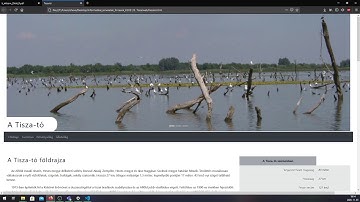 2020 októberi informatikai ismeretek középszint (Weboldal szerkesztés feladat)