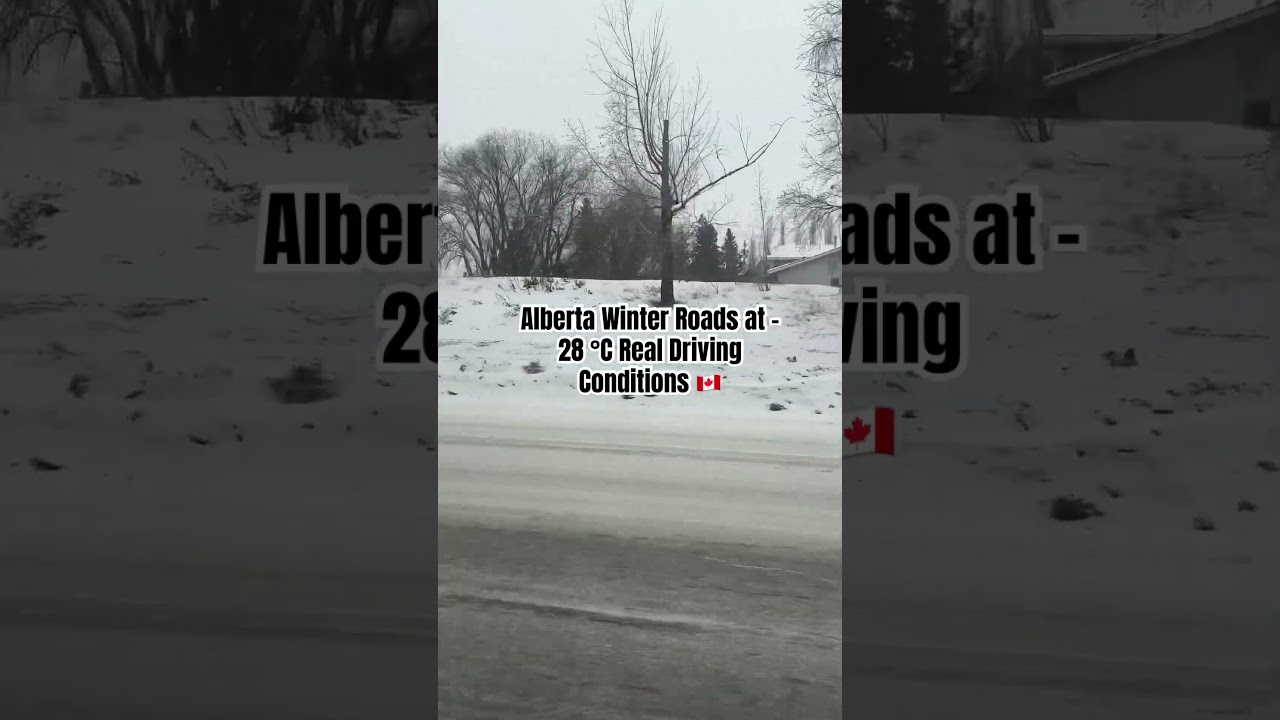 Can You Drive in –28°C? Alberta Winter Roads 🥶❄️
