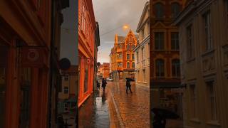 The Colors Of Autumn In Bergen Pure Magic