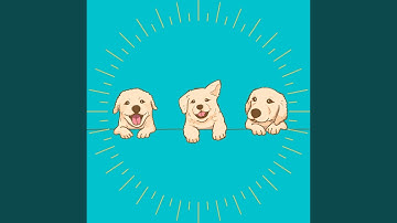 Pulsating Ambiance for Comforting Puppy