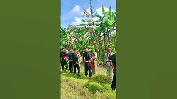 story wa ukt siswa ikspi kera sakti terbaru #shorts #ikspi #ikspipusatmadiun #pasker #ikspiindonesia