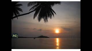 Tuğba Bi̇çmener Ceylan-Beni̇ Senden Soranlara