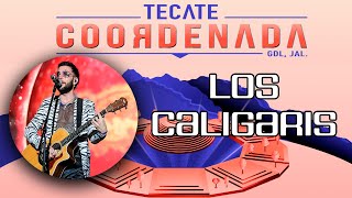 LOS CALIGARIS COMPLETO | #TECATECOORDENADA 2022 | DIA 2