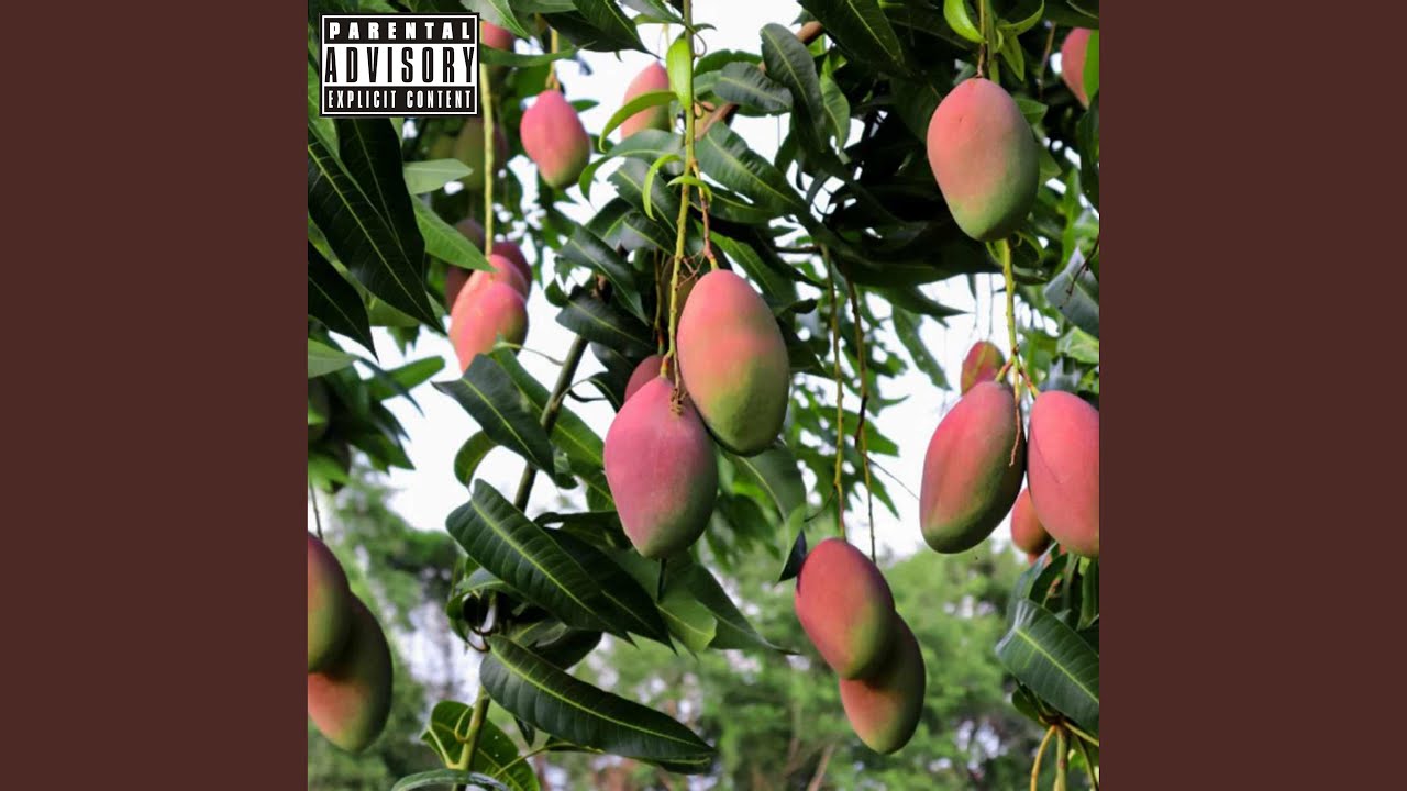 Watch Mango Red on YouTube Watch Mango Red on YouTube