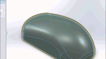 surface modeling of mouse