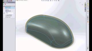 surface modeling of mouse